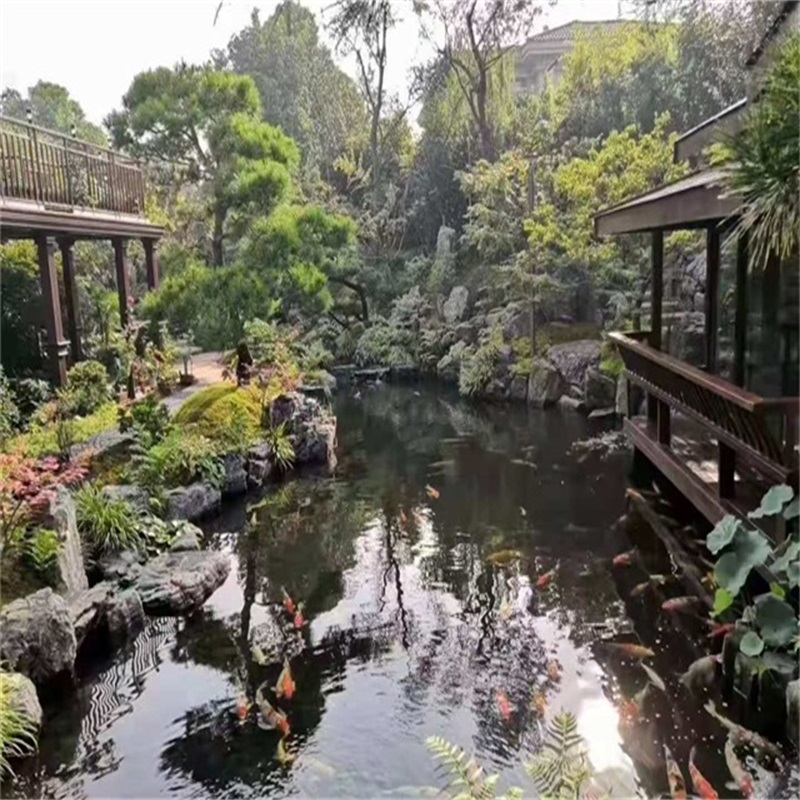汉中假山植物小鱼池